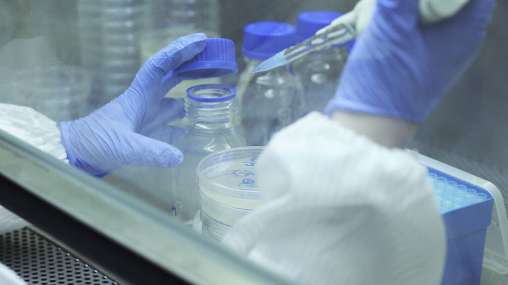 วิจัยและพัฒนาสูตร