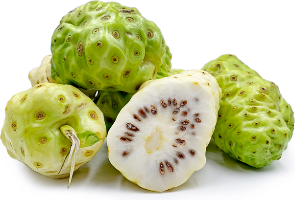 รักษาสิว - QUORA NONI