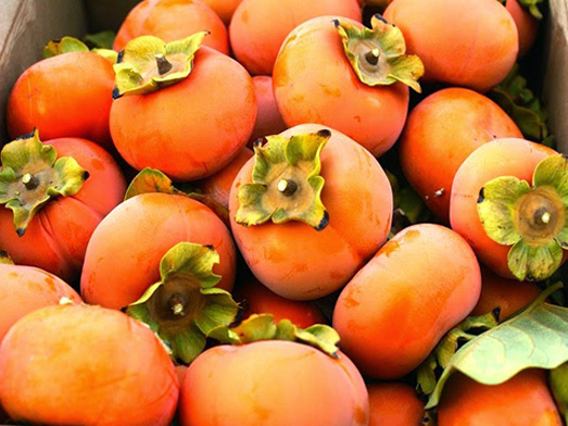 สารระงับกลิ่นกาย - PANCIL COS-17