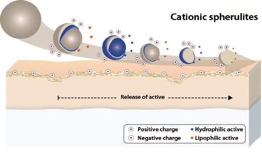 สารระงับกลิ่นกาย - SINODOR® CQ