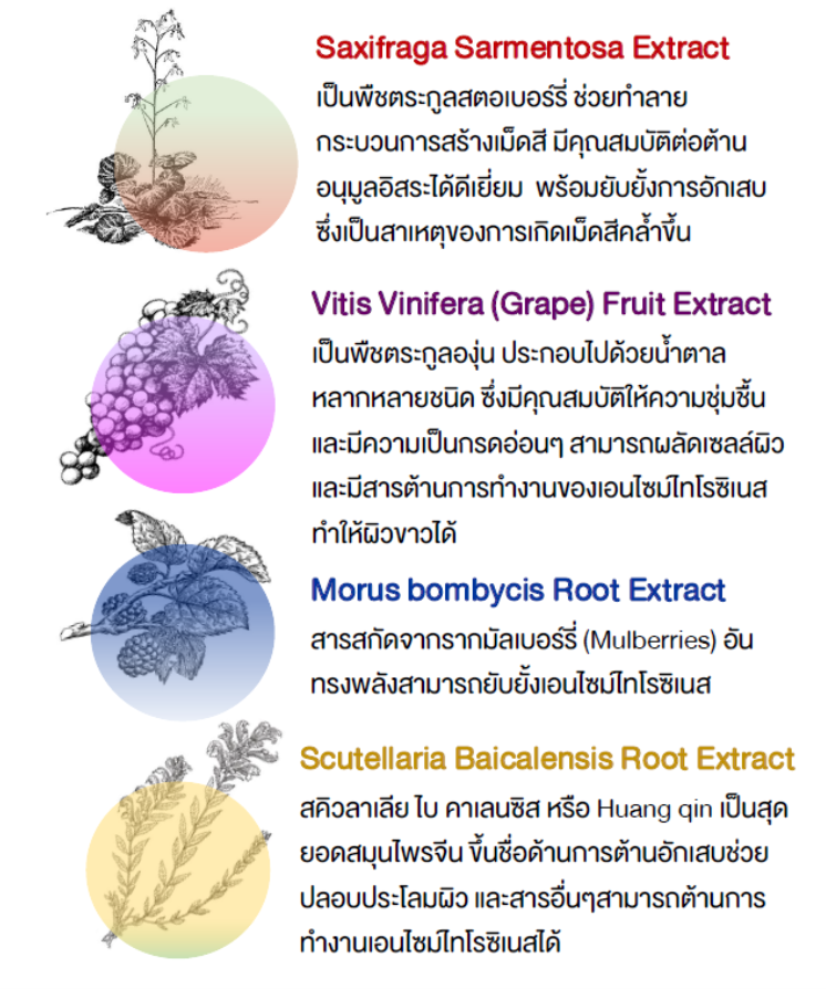 ไวท์เทนนิ่ง - Biowhite